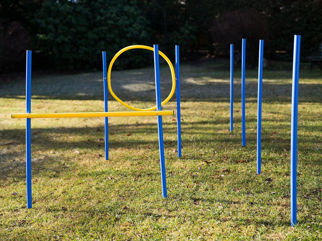 Hundetrainingsset, Slalom-Stangen, Hürde und Ring, Agility PR-A19-A Hundetrainingsset, Slalom-Stangen, Hürde und Ring, Agility PR-A19-A