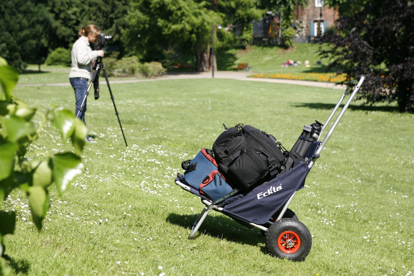 Eckla Beach Rolly in Olivgrün mit pannensicherer Bereifung, mit Sonnendach 55570