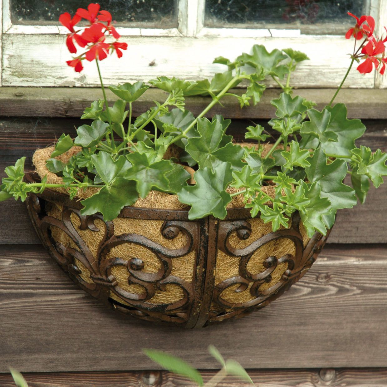 Esschert Design Wandkorb aus Gusseisen, Wandtopf mit Kokosmatte, Ø 35,0 cm ES-BPH27 Esschert Design Wandkorb aus Gusseisen, Wandtopf mit Kokosmatte, Ø 35,0 cm ES-BPH27