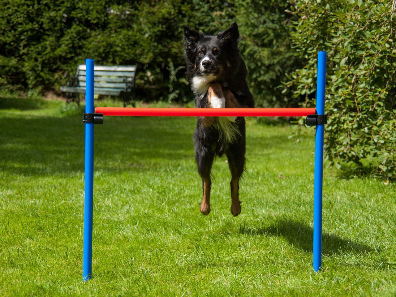 Hürde mit Tragetasche, Hundetraining, Agility PR-A8 Hürde mit Tragetasche, Hundetraining, Agility PR-A8