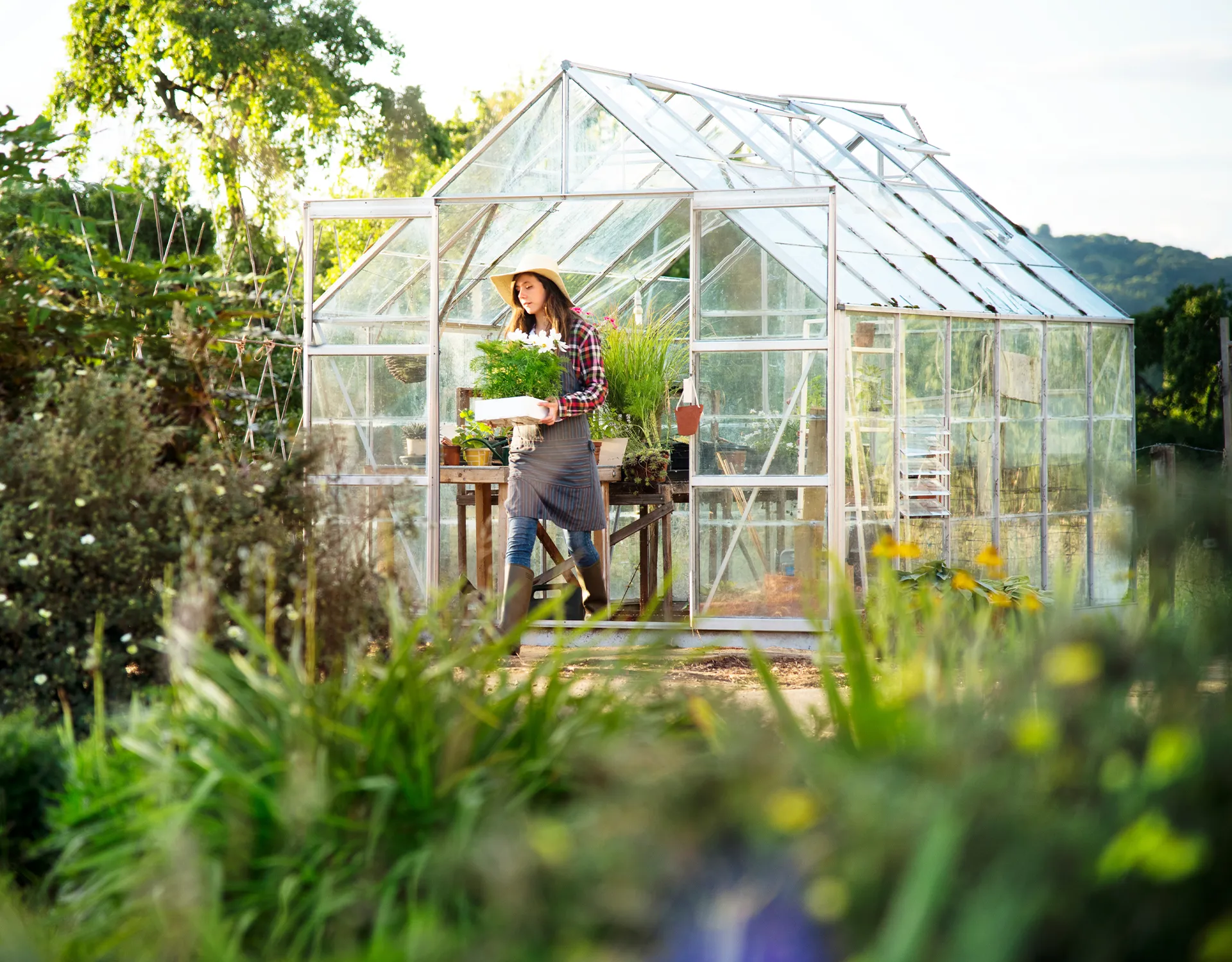 Gewächshäuser Titel