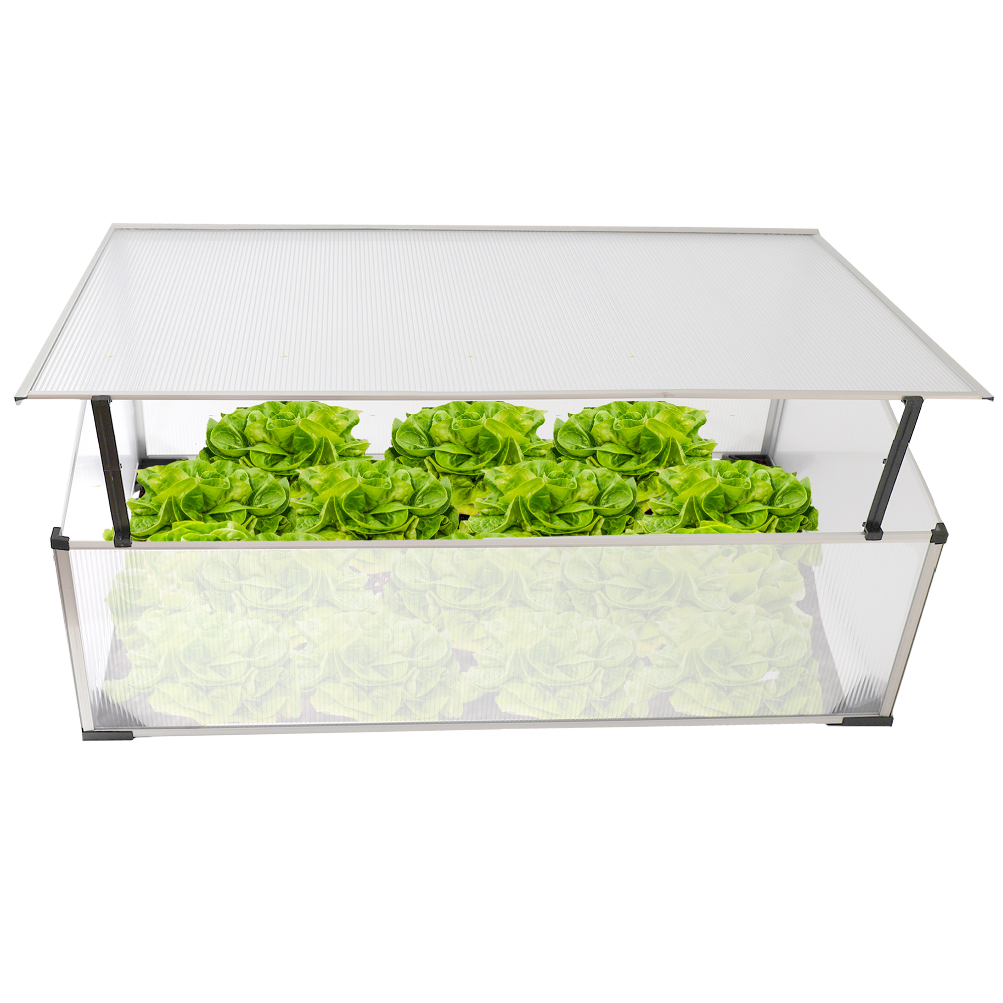 Frühbeet aus 1 mm starkem Aluminium, Treibhaus mit Aufstelldach, Frühbeetaufsatz NA209 Frühbeet aus 1 mm starkem Aluminium, Treibhaus mit Aufstelldach, Frühbeetaufsatz NA209