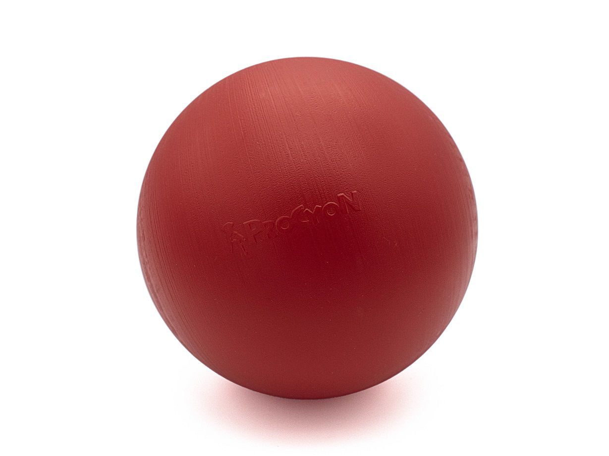 Golf Spielset für Hunde, Hundespielzeug, Agility, Hundetraining PR-G1 Golf Spielset für Hunde, Hundespielzeug, Agility, Hundetraining PR-G1