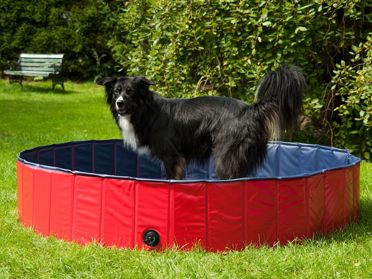 Procyon Hundepool Planschbecken für Haustiere 120cm oder 160cm mit Wasserablassventil besonders robu PR-K4-L Procyon Hundepool Planschbecken für Haustiere 120cm oder 160cm mit Wasserablassventil besonders robu PR-K4-L