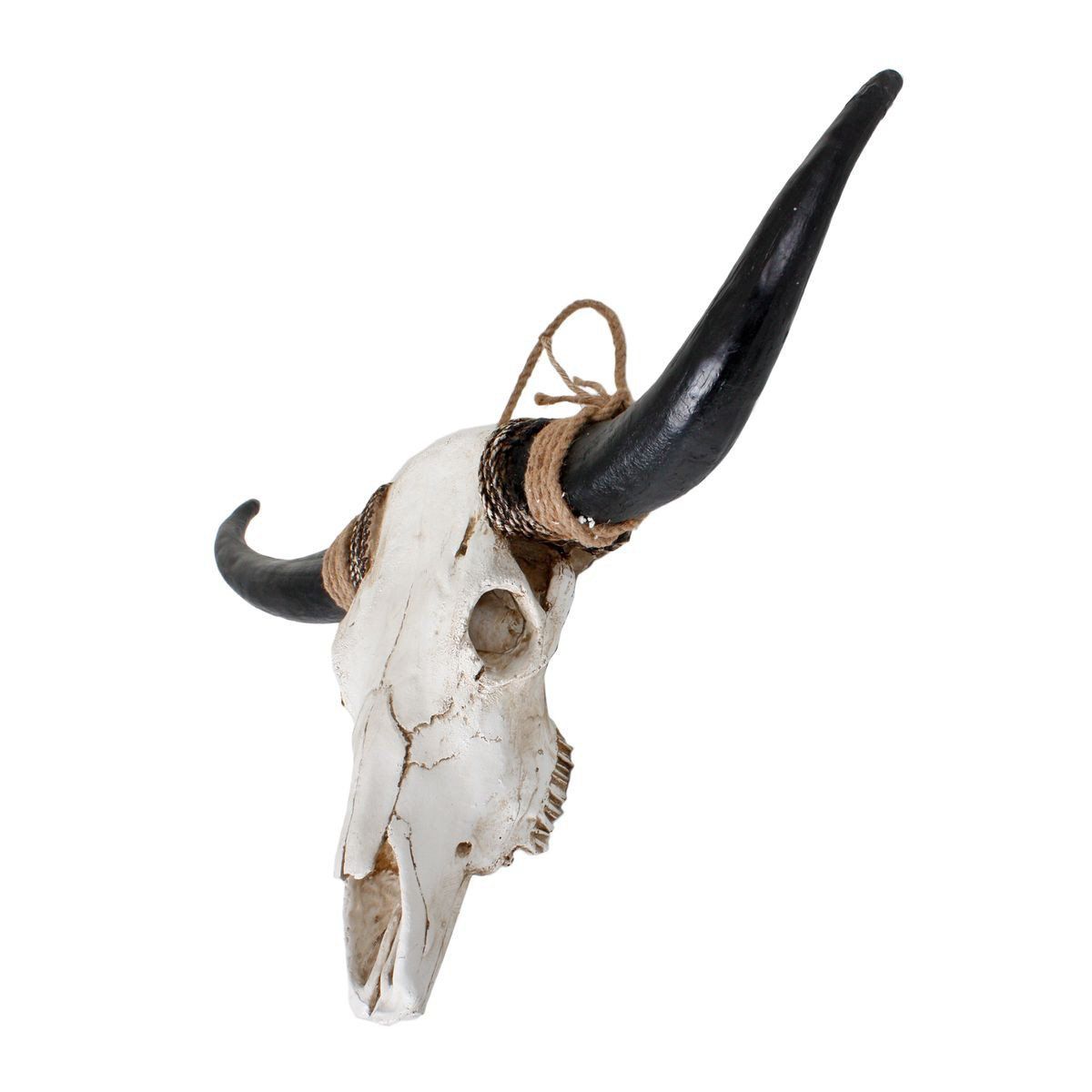 Geweih, Bison, Polyresin weiß mit schwarzen Hörnern HI-301811