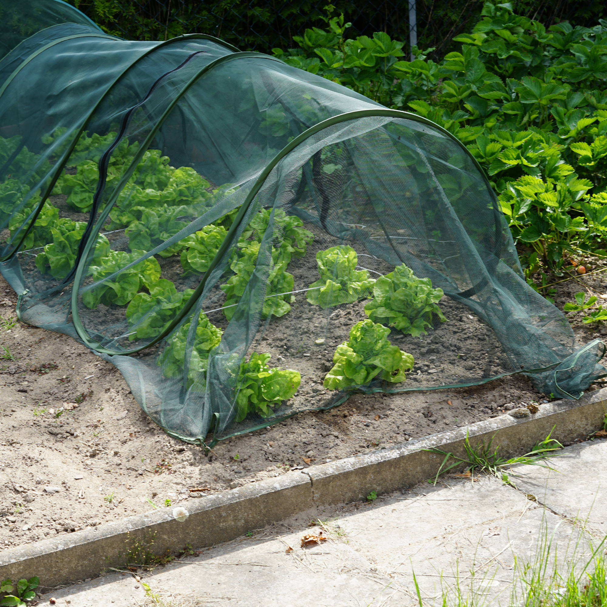 Erweiterung für Pflanztunnel aus grünem Netzmaterial, Gartentunnel, Vogelschutznetz NA168