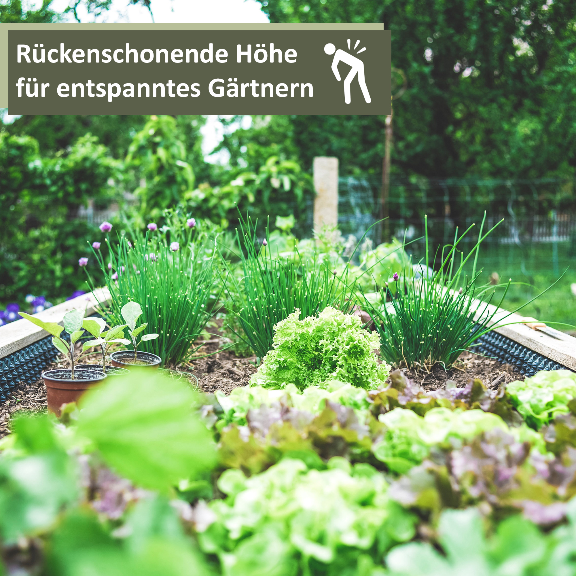 Massives Hochbeet aus Holz, Frühbeet als Set mit Noppenfolie und Nagerschutzgitter Massives Hochbeet aus Holz_M