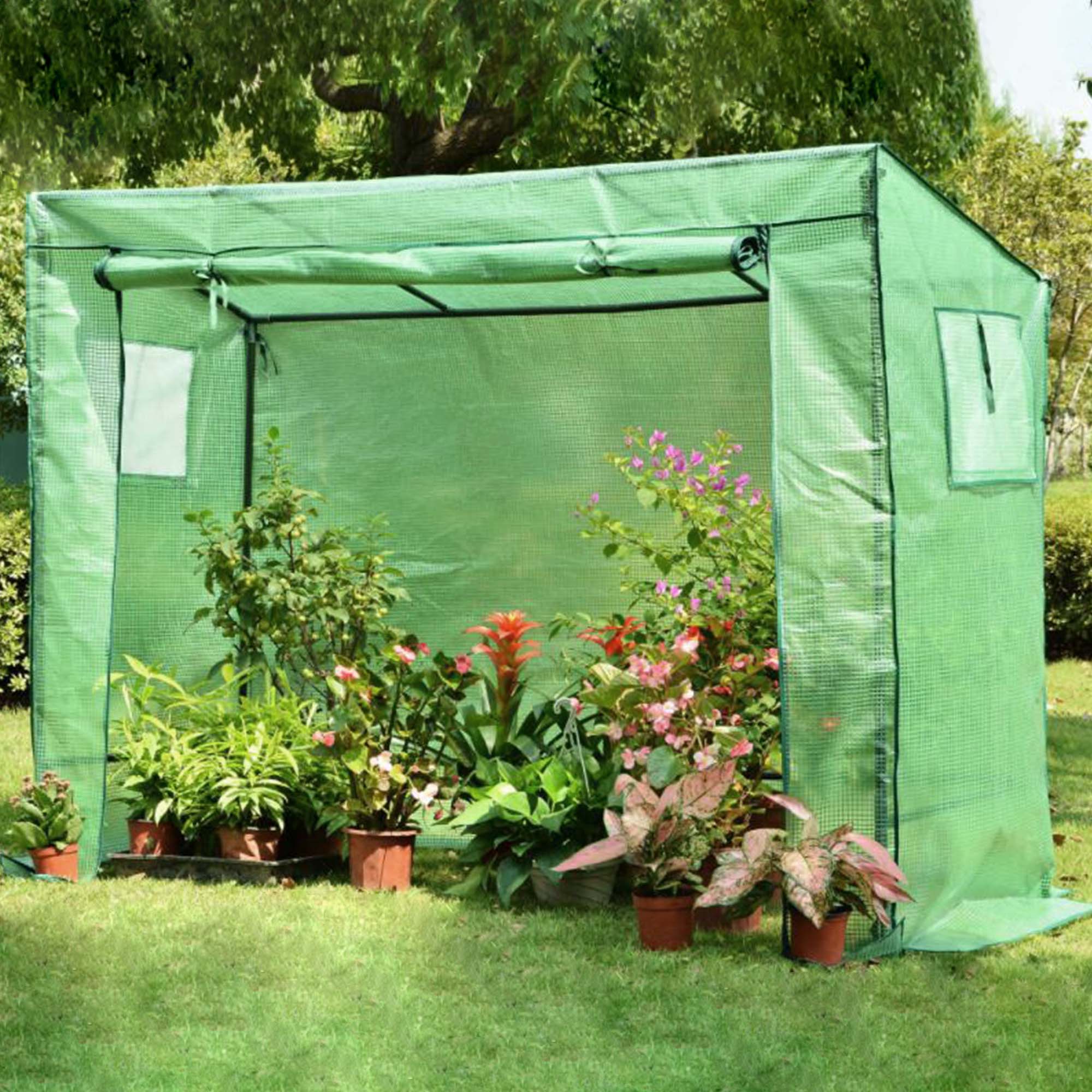 Robustes Tomatenhaus 200 x 77 cm, 169 cm hoch, Foliengewächshaus mit 2 Fenstern NA206 Robustes Tomatenhaus 200 x 77 cm, 169 cm hoch, Foliengewächshaus mit 2 Fenstern NA206