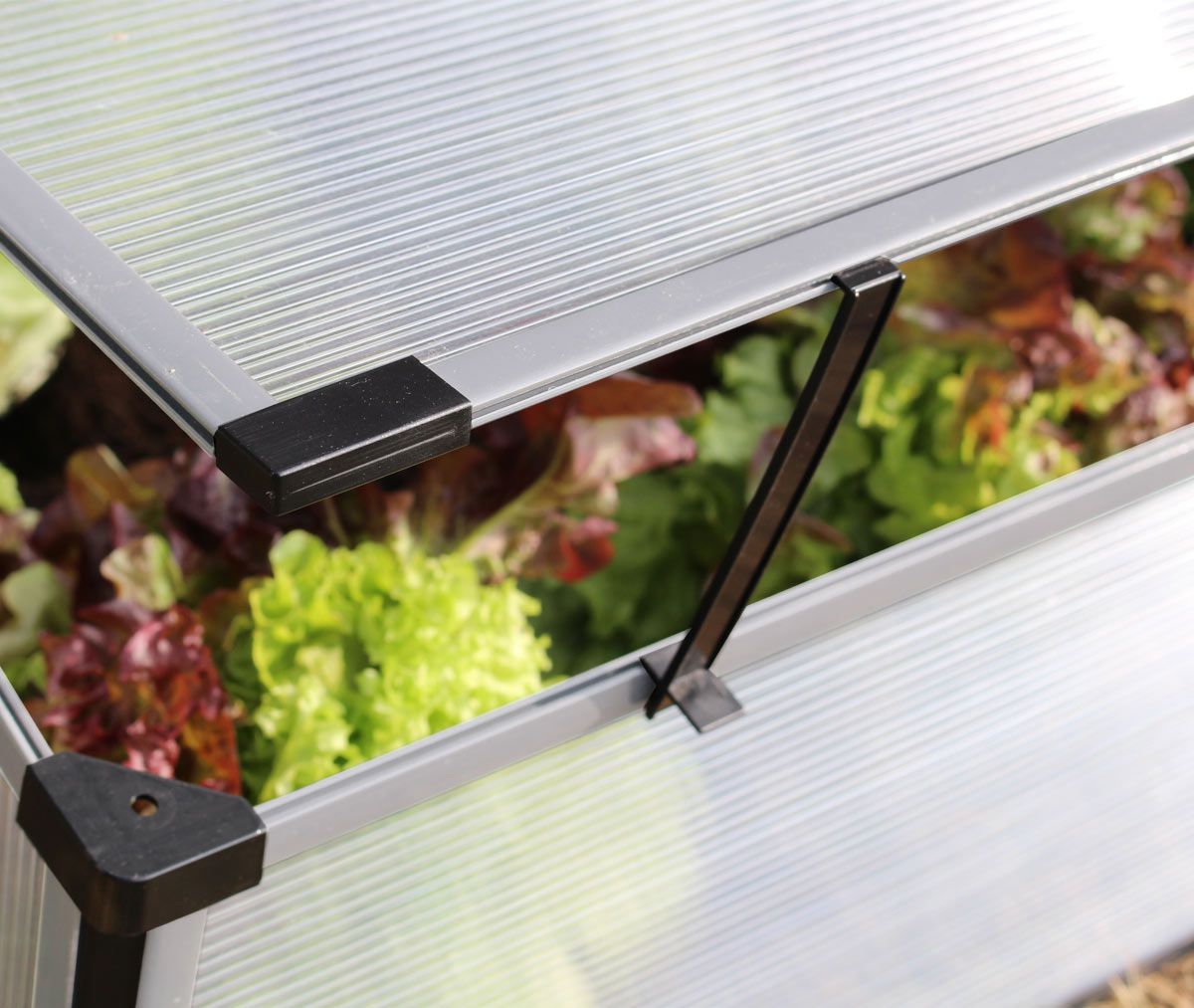 Frühbeet Levana 2 mit Aufstelldach, Treibhaus EPH-40000957