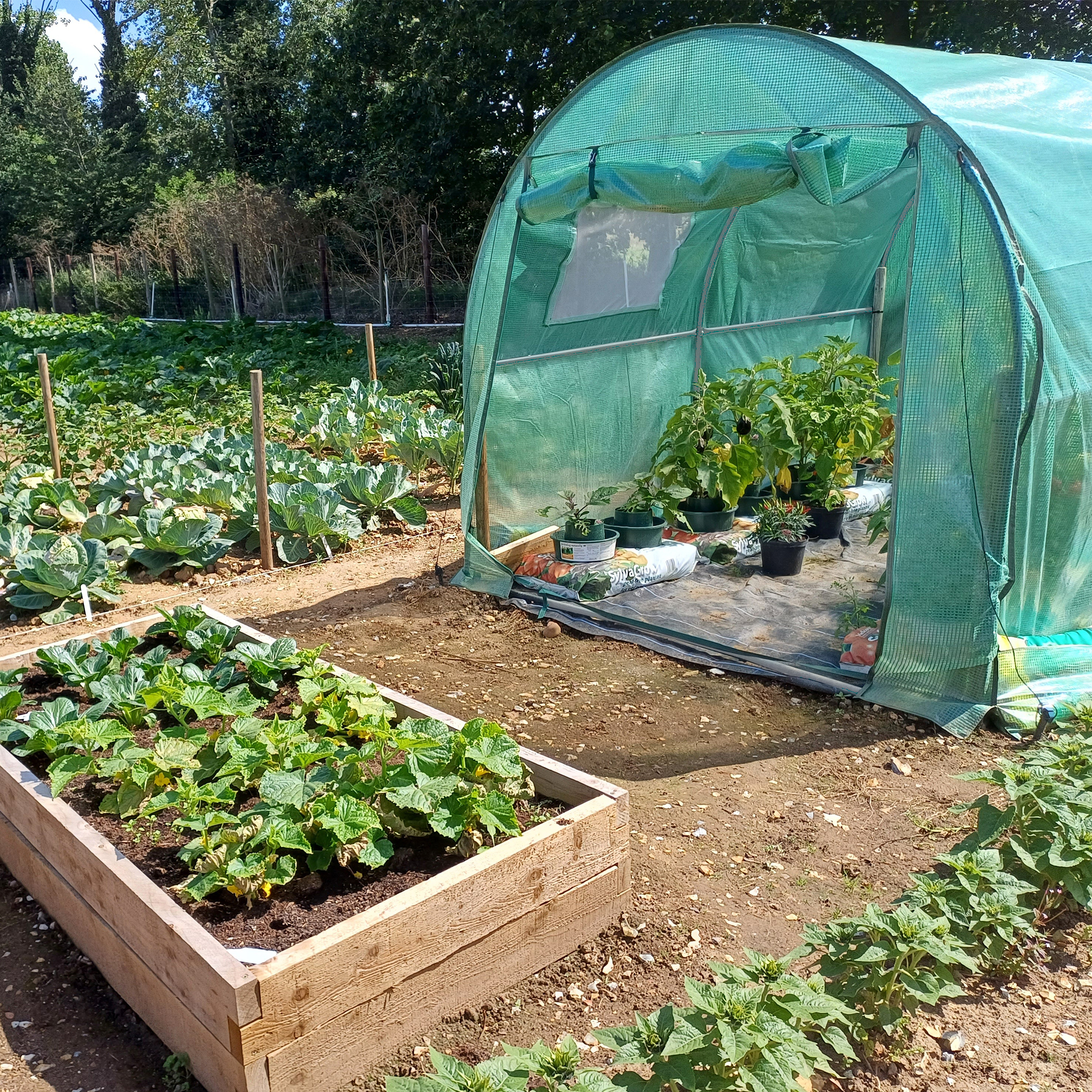 Robustes Foliengewächshaus mit 2 Fenstern, Gewächshaus 300 x 200 cm, 200 cm hoch NA207 Robustes Foliengewächshaus mit 2 Fenstern, Gewächshaus 300 x 200 cm, 200 cm hoch NA207