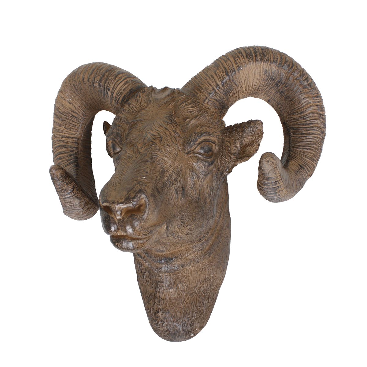 Geweih, Widder, Polyresin, antik-braun HI-301810