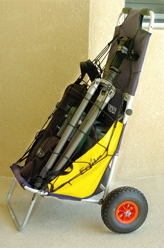 Eckla Beach Rolly in Blau/Grün mit pannensicherer Bereifung, ohne Sonnendach 77920